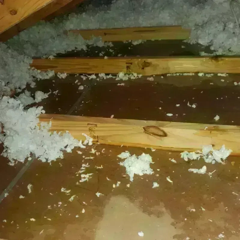 Attic Water Damage in Powhatan Point, OH